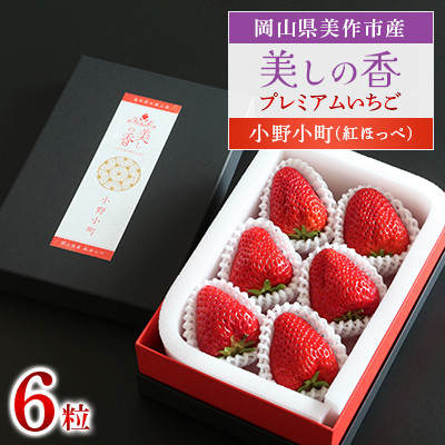 岡山県美作市産　プレミアムいちご【美しの香/小野小町(紅ほっぺ)】6粒入【配送不可地域：離島・北海道・沖縄県】