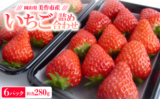 【2025年4月発送開始】岡山県美作市産　いちご詰合せ(約280g×6パック)【配送不可地域：離島・北海道・沖縄県】