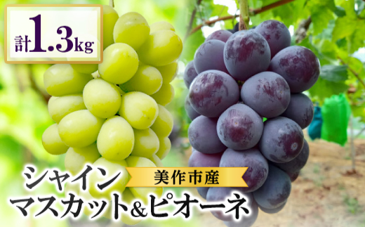 2026年先行受付　美作市産　シャインマスカット＆ピオーネ　合計約1.3kg(各1房)【配送不可地域：離島・北海道・沖縄県】