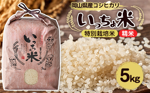 コシヒカリ　いっちょ米(5kg×1袋)