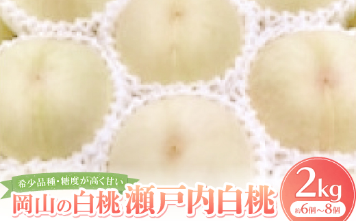 【先行予約・2026年8月下旬～9月上旬頃発送予定】希少品種・岡山の白桃・瀬戸内白桃(2kg箱)【配送不可地域：離島】