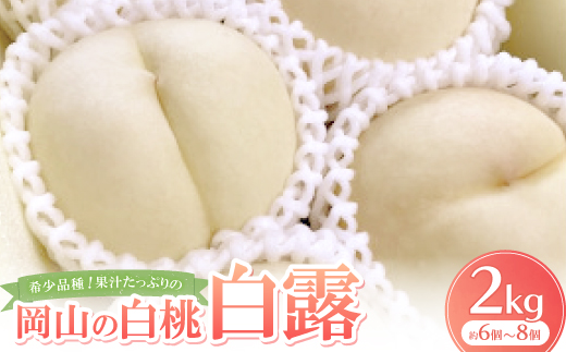 【先行予約・2025年9月上旬頃より発送予定】希少品種・果汁たっぷりの岡山の白桃・白露(2kg箱)【配送不可地域：離島】