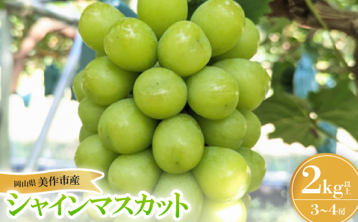 【2026年先行受付】岡山県美作市産 シャインマスカット 2kg【配送不可地域：離島】