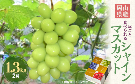 2026年先行予約　岡山県産シャインマスカット1.3kg(2房)【配送不可地域：離島】