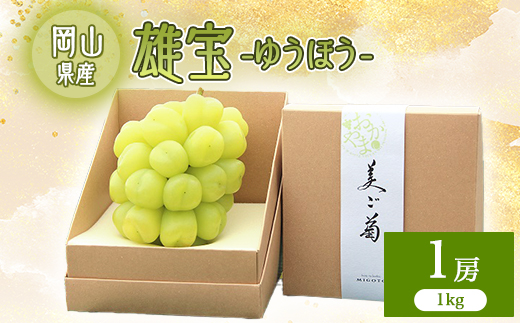 2026年先行予約　雄宝　1房　1キロ【配送不可地域：離島】