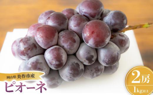 岡山県産ピオーネ 2房【配送不可地域：離島】