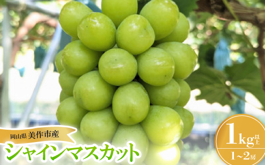美作市産シャインマスカット1Kg【配送不可地域：離島】