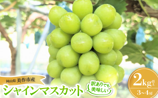 【訳あり】シャインマスカット 2Kg【配送不可地域：離島】