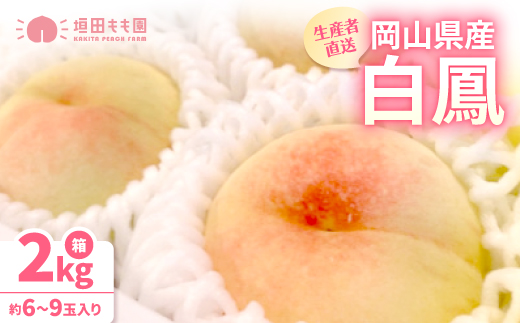 【先行予約★2026年7月中旬より順次発送予定】岡山県産　白鳳(2kg箱)【配送不可地域：離島・北海道・沖縄県】