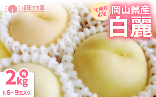 【先行予約★2026年8月上旬より順次発送予定】岡山県産　白麗(2kg箱)【配送不可地域：離島・北海道・沖縄県】