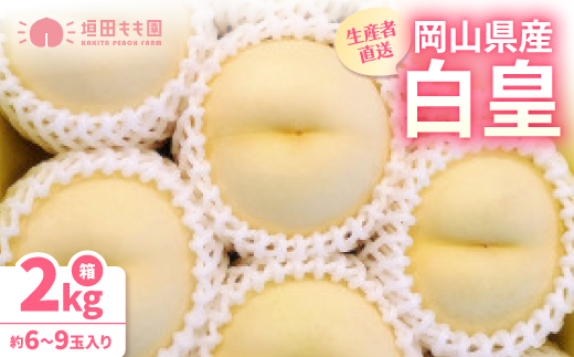 【先行予約★2026年8月下旬より順次発送予定】岡山県産　白皇(2kg箱)【配送不可地域：離島・北海道・沖縄県】