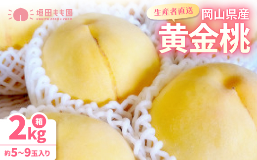 【先行予約★2026年9月中旬より順次発送予定】岡山県産　黄金桃(2kg箱)【配送不可地域：離島・北海道・沖縄県】