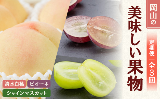 【発送月固定定期便】26年先行予約 岡山の美味しい果物 清水白桃・ピオーネ・シャインマスカット全3回【配送不可地域：離島】