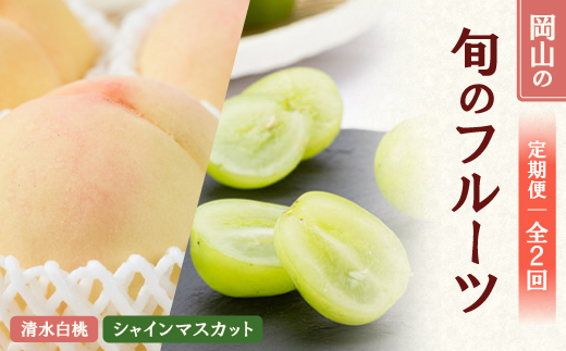 【発送月固定定期便】 2026年先行予約　岡山フルーツ旬の果物 清水白桃+シャインマスカット全2回【配送不可地域：離島】