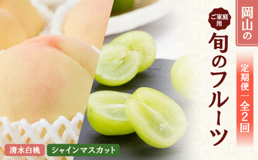 【発送月固定定期便】26年先行予約 ご家庭用 岡山旬のフルーツ 清水白桃とシャインマスカット全2回【配送不可地域：離島】