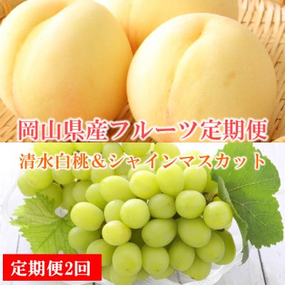 【発送月固定定期便】【岡山県産人気フルーツ】清水白桃＆シャインマスカット定期便全2回【配送不可地域：離島・北海道・沖縄県】