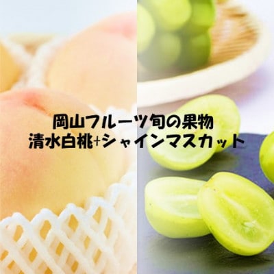 【発送月固定定期便】 2026年先行予約　岡山フルーツ旬の果物 清水白桃+シャインマスカット全2回【配送不可地域：離島】