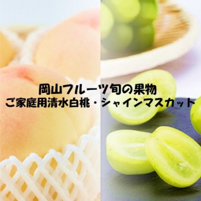 【発送月固定定期便】26年先行予約 ご家庭用 岡山旬のフルーツ 清水白桃とシャインマスカット全2回【配送不可地域：離島】