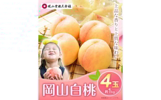 【2026年先行予約】桃 もも 岡山白桃 4玉 約1kg 岡山県産 環山堂株式会社《2026年7月上旬-8月上旬頃出荷》岡山県 浅口市 白桃 果物 フルーツ 送料無料---124_c2261_7a8a_25_15500_30---