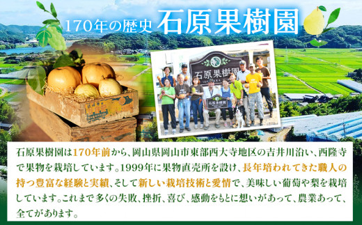 【先行予約】あたご 梨 約720g×2玉 化粧箱 石原果樹園 《11月中旬-12月下旬頃より発送予定》---124_3167_11b12c_25_13000_720g---