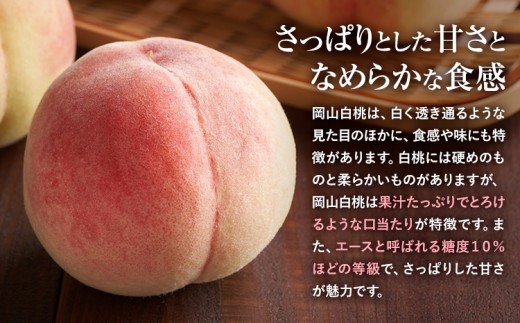 【先行予約】岡山県産 岡山白桃 エース L~ 3Lサイズ シャインマスカット 計 1kg 詰合せ 株式会社 はちや《7月上旬-8月下旬頃出荷》もも 岡山 国産 フルーツ 果物 岡山県 浅口市 フルーツ モモ 果物【配送不可地域あり】---124_c2047_7a8c_25_20500_1kge---