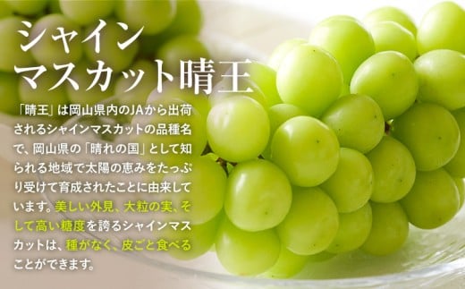 【先行予約】 岡山県産 シャインマスカット 晴王 計 800g 2房 株式会社はちや《7月上旬‐8月下旬頃出荷》岡山県 浅口市 ぶどう 葡萄 フルーツ ギフト 果物 デザート 国産【配送不可地域あり】---124_c2062_7a8c_25_21500_800g2---