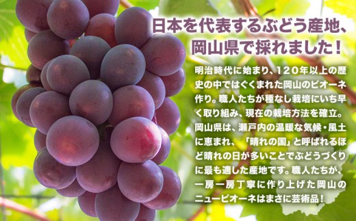【先行予約】 岡山県産 ニューピオーネ詰合せ 選べる 計 2kg 株式会社はちや《8月下旬‐9月下旬頃出荷》岡山県 浅口市 ぶどう 葡萄 フルーツ ギフト 果物 デザート 国産 送料無料【配送不可地域あり】---124_c2095_8c9c_25_20000_2kg---