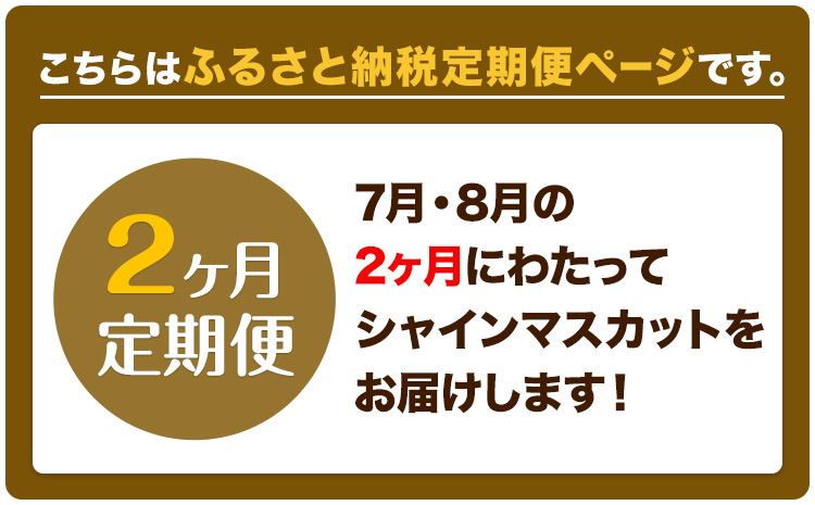 【2026年先行予約】ぶどう 2ヶ月 定期便 シャインマスカット 晴王 1.4kg（2房） 岡山県産《7月上旬-8月末頃出荷》 ハレノフルーツ マスカット 送料無料 岡山県 浅口市 フルーツ 果物 国産 岡山県産【配送不可地域あり】（北海道・沖縄・離島）---124_c1930_25_88500_jul2_tei---