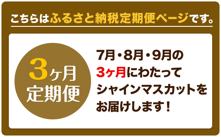 【2026年先行予約】ぶどう 3ヶ月 定期便 シャインマスカット 晴王 700g 岡山県産《7月上旬-9月末頃出荷》 ハレノフルーツ マスカット 送料無料 岡山県 浅口市 フルーツ 果物 国産 岡山県産【配送不可地域あり】（北海道・沖縄・離島）---124_c1932_25_72000_jul3_tei---
