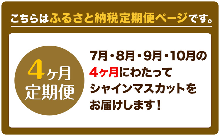 【2026年先行予約】ぶどう 4ヶ月 定期便 シャインマスカット 晴王 700g 岡山県産《7月上旬-10月末頃出荷》 ハレノフルーツ マスカット 送料無料 岡山県 浅口市 フルーツ 果物 国産 岡山県産【配送不可地域あり】（北海道・沖縄・離島）---124_c1936_25_90000_jul4_tei---