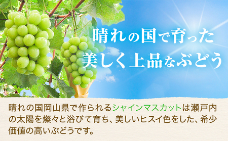 【2026年先行予約】ぶどう シャインマスカット 1房 たけまさぶどう園 《2026年9月上旬-10月中旬頃出荷》岡山県 浅口市 フルーツ デザート おやつ マスカット 果物 国産 岡山県産 くだもの 青果物 送料無料【配送不可地域あり】（離島）---124_c2006_9a10b_25_17000_1---st-p