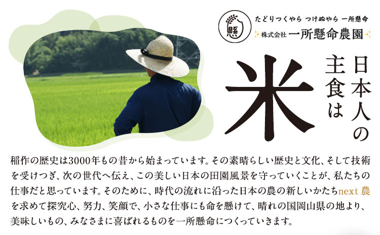 令和7年産 岡山県産 朝日米 精米 9kg 株式会社 一所懸命農園 岡山県 浅口市《30日以内に出荷予定(土日祝除く)》精米 米 あさひ 白米 送料無料---124_2272_11b12m_25_26000_9kg---
