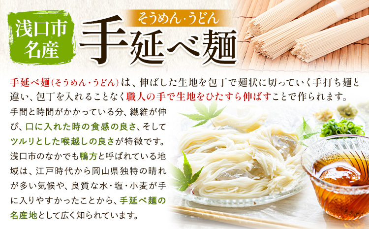 手延べピリ辛中華 タレ付き 1袋300g ( 麺 180g スープ 60g×2 ) 2食入 × 5袋 計10食 奥島屋 株式会社奥島創麺巧房《30日以内に出荷予定(土日祝除く)》岡山県 浅口市 送料無料 中華麺 冷やし中華 冷麺 細麺 豆板醤 ゴマ油---124_153_30d_23_13000_s---
