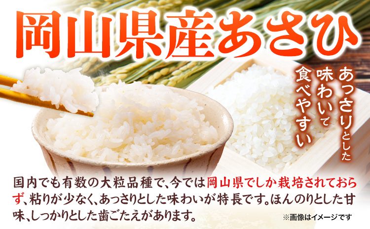 【令和7年産】岡山県産 あさひ 10kg (5kg×2袋)  全農パールライス株式会社 《30日以内に出荷予定(土日祝除く)》精米 米 送料無料---124_2245_11b12m_25_27000_10kg---