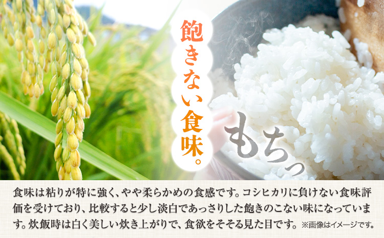 【令和7年産】米 10kg  お米 10キロ 国産 岡山県産 きぬむすめ 10kg(5kg×2袋) 全農パールライス《90日以内に出荷予定(土日祝除く)》米 ---124_2246_11a11m_25_27000_10kg---