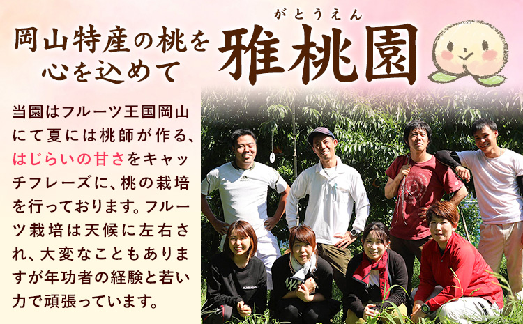 【2026年先行予約】ご家庭用 旬の桃 約1.2kg ( 4~6玉前後 ) 株式会社創・和(雅桃園) 《7月上旬-8月上旬頃出荷》岡山県 浅口市 桃 もも フルーツ 果物 青果 旬 白桃 わけあり 訳あり【配送不可地域あり】（北海道・沖縄・離島）---124_c2244_7a8a_25_12000_1200g---