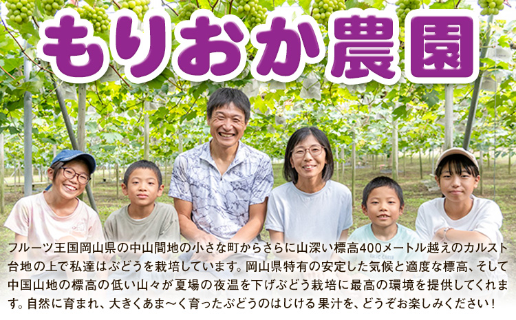 【先行予約】ぶどう ピオーネ 約1.2kg (2房) もりおか農園《9月上旬-10月上旬頃出荷》岡山県 浅口市 送料無料 ぶどう フルーツ 果物 くだもの デザート おやつ【配送不可地域あり】---124_c2118_9a10a_25_15000_1200g---