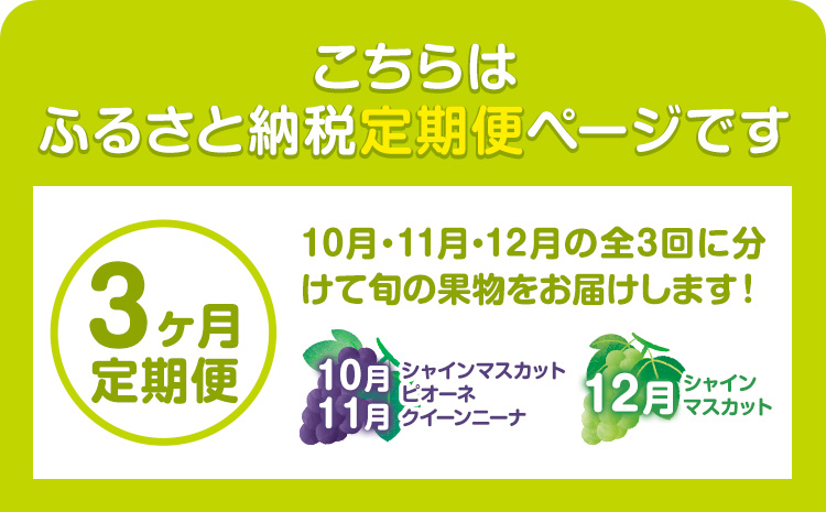 特選 大粒 ぶどう 詰め合わせ定期便 3回 3ヶ月定期便 シャインマスカット ピオーネ クイーンニーナ 株式会社日本植生グループ本社 NISSHOKU FARM《10月上旬-12月末頃出荷》ブドウ 送料無料 岡山県 浅口市 【配送不可地域あり】 (離島)---124_c3270tei_10a12m_25_80000_3i---