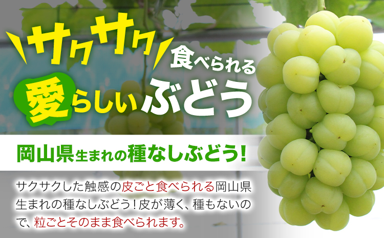 【先行予約】岡山県産 桃太郎ぶどう 1房 約500g 《9月上旬-9月下旬頃出荷》晴れの国 おかやま館(フルーツランド岡山) 岡山県 浅口市 フルーツ 果物 青果 旬 葡萄 ぶどう【配送不可地域あり】（離島）---124_c2179_9a9c_25_14000_500g---