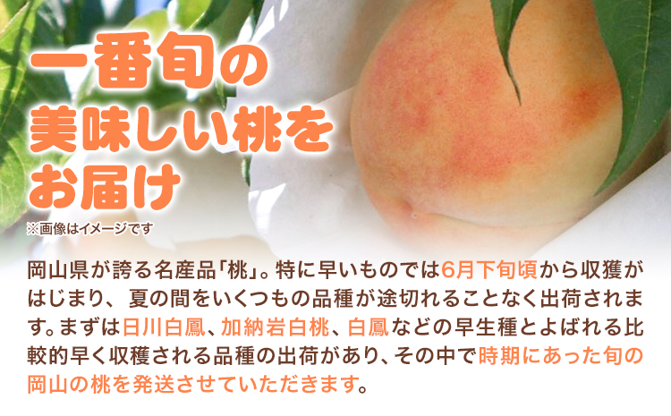 【先行予約】 岡山の白桃 早生種 3玉 約840g 晴れの国 おかやま館(つむぐ株式会社) 《6月下旬-7月中旬頃出荷》岡山県 浅口市 フルーツ モモ 果物 青果 旬【配送不可地域あり】（離島）---124_2188_6c7b_25_16000_3tama---