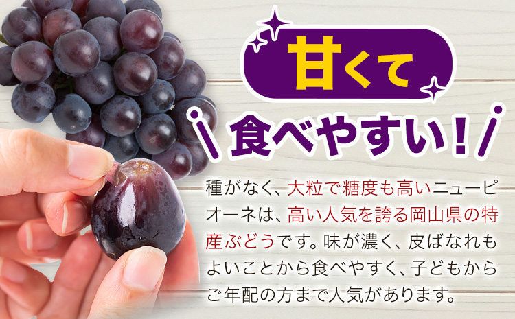 【先行予約】ご家庭用 岡山県産 ニューピオーネ 約1.2kg 2-3房 晴れの国 おかやま館(つむぐ株式会社)《8月下旬-10月上旬頃出荷》岡山県 浅口市  ぶどう 葡萄 果物 フルーツ 送料無料【配送不可地域あり】（離島）---124_c2192_8c10a_25_16000_1200g---