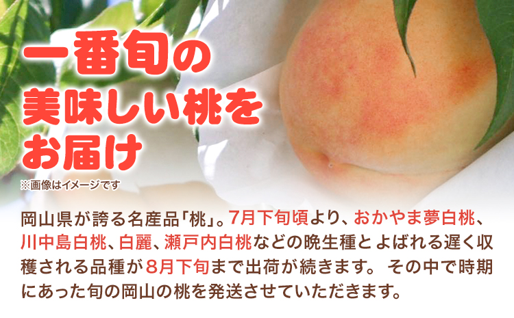【先行予約】岡山の白桃 晩生種 大玉3玉 約900g 晴れの国 おかやま館(つむぐ株式会社) 《7月下旬-8月下旬頃出荷》岡山県 浅口市 フルーツ モモ 果物 青果 旬【配送不可地域あり】（離島）---124_2190_7c8c_25_16000_3tama---