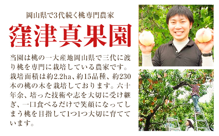 【2026年先行予約】ご家庭用 旬の桃 (なかて~おくての品種) 約750g (3玉前後) 窪津真果園【配送不可地域あり】（北海道・沖縄・離島）《7月中旬-9月中旬頃出荷》岡山県 浅口市 フルーツ モモ 果物 青果 旬 白桃 国産 岡山県産---124_c756_7c9c_24_14000_750g---