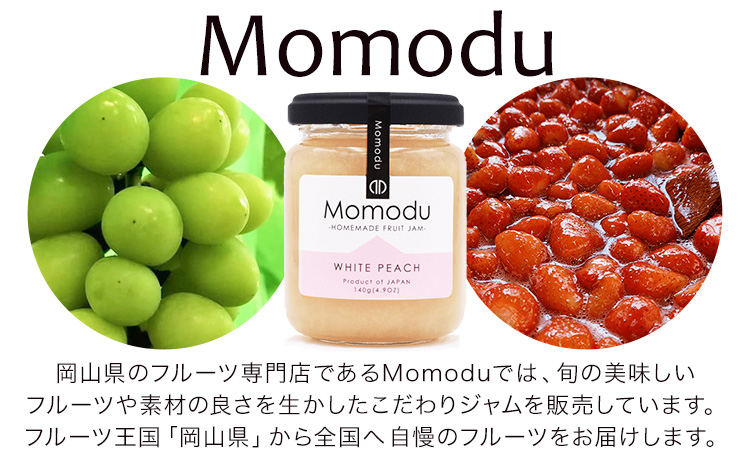 【2026年先行予約】ぶどう ニューピオーネ ご家庭用 1kg 以上 2房《2026年8月上旬-9月中旬頃出荷》株式会社fruceed ぶどう 送料無料 岡山県 浅口市 ぶどう フルーツ 果物 くだもの ピオーネ 家庭用---124_c2004_8a9b_25_10000_1kg---st-p
