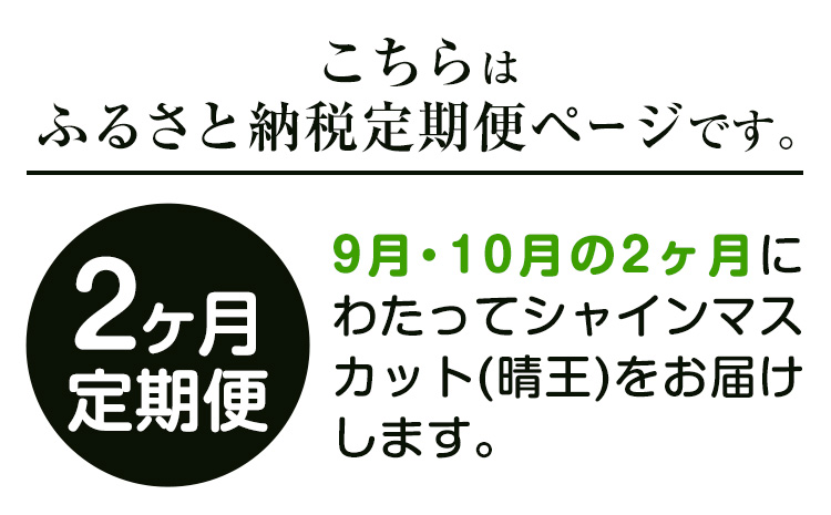 【2026年先行予約】ぶどう プレミアム シャインマスカット定期便 9月 10月発送 船穂 赤秀品 晴王 計2.8kg(約1.4kg×2回お届け)《2026年9月中旬-10月中旬頃出荷(土日祝除く)》晴レ乃青果　(岡山中央卸売市場店(富士紙工 有限会社)) マスカット 岡山県 浅口市 フルーツ 果物 【配送不可地域あり】（北海道・沖縄・離島）---124_c2218_9b10b_96000_sep2_tei---st-p
