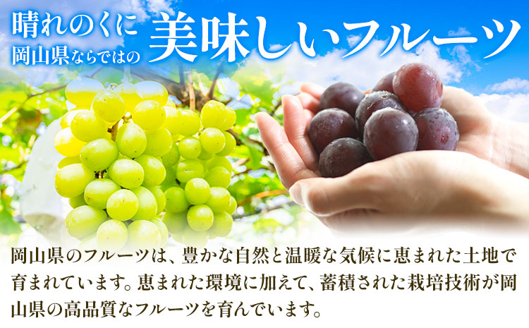 【2026年先行予約】シャインマスカット【晴王】 岡山県産 3-6房(計2.5kg以上) 株式会社Myself《2026年9月上旬-10月下旬頃出荷》マスカット 送料無料 岡山県 浅口市 ぶどう フルーツ 果物 贈り物 ギフト---124_c2430_9a10c_32000_6p---