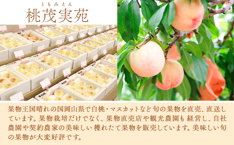 【先行予約】清水白桃 約2kg もも モモ 岡山 国産 フルーツ 果物 桃茂實苑《7月中旬-8月上旬頃出荷》岡山県 浅口市 フルーツ モモ 果物 青果 旬 白桃 国産 岡山県産【配送不可地域あり】---124_c2136_7b8a_25_54000_2kg---