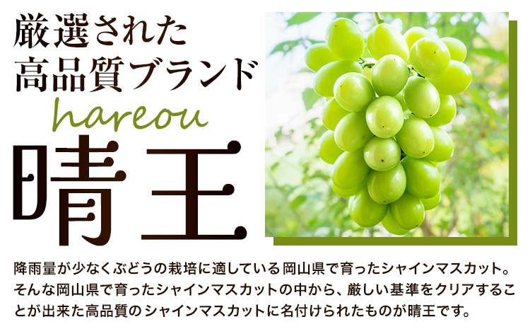 ぶどう [2026年先行予約] シャインマスカット 晴王 700g《2026年9月中旬-10月中旬頃出荷》晴レ乃青果　(岡山中央卸売市場店(富士紙工 有限会社)) マスカット 送料無料 岡山県 浅口市 フルーツ 果物 贈り物 ギフト 国産 【配送不可地域あり】（北海道・沖縄・離島）---124_c2198_9b10b_25_22500_700---