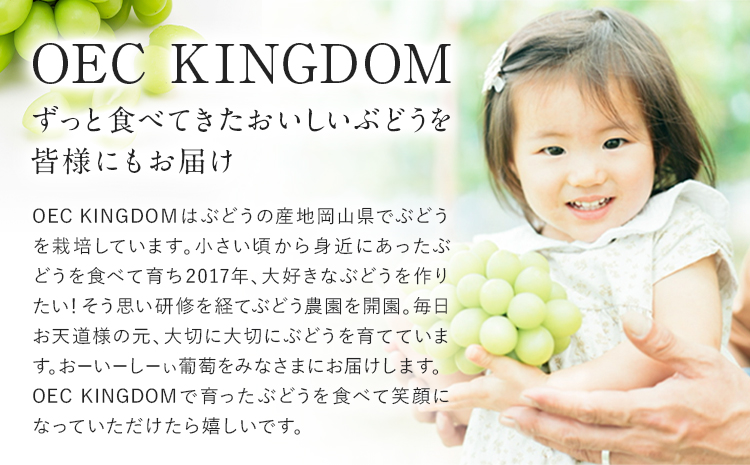 贈答クラス シャインマスカット 1房 (700g以上) OEC KINGDOMぶどう家 《8月下旬-10月上旬頃出荷》岡山県 浅口市 ぶどう 果物 贈答用【配送不可地域あり】（離島）---124_c3254_8c10a_25_16000_1p---