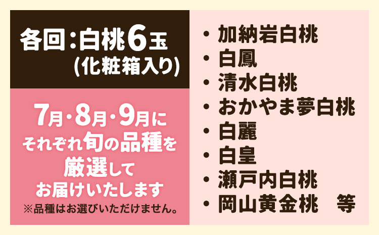 【2026年先行予約】岡山の桃食べ比べ定期便3回コース 株式会社山博 (中本青果)《2026年7月上旬-9月下旬頃出荷》岡山県 浅口市 桃 もも フルーツ 旬 果物 国産 岡山県産 送料無料 冷蔵 食べ比べ 定期便 定期【配送不可地域あり】（北海道・沖縄・離島）---124_c1838_7a9c_26_90000_tei---